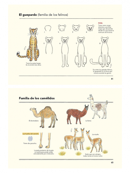 Libro Cómo Son Los animales Y Cómo Dibujarlos Ai Akikusa 978-84-252-3317-3