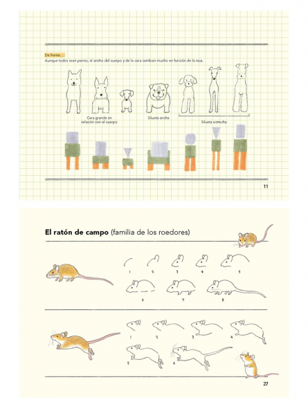 Libro Cómo Son Los animales Y Cómo Dibujarlos Ai Akikusa 978-84-252-3317-3