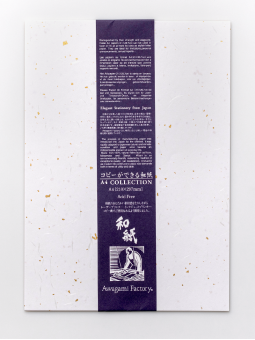 Papel Washi Deco Fibras Dorado Y Plateado Awagami 70gr A4 10 Hojas AW8425511