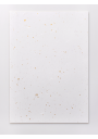 Papel Washi Deco Fibras Dorado Y Plateado Awagami 70gr A4 10 Hojas AW8425511