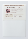 Papel Washi Dibujo Y Grabado Shirakaba Awagami 100gr A4 AW8429813