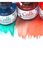 Tinta Para Caligrafía Daler Rowney Calli Set 6 Colores 29,5ml 604300010