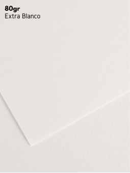 Papel Conservación Canson Barrera Blanco 80gr 80x120cm C201771101