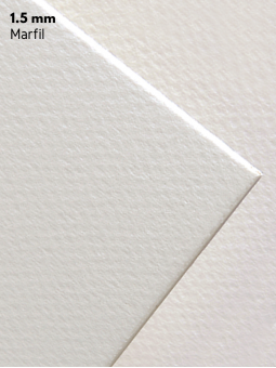 Cartón Contracolado Mi-Teintes Canson 1.5mm 80x120cm Marfil C200324456