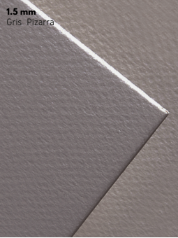 Cartón Contracolado Mi-Teintes Canson 1.5mm 80x120cm Gris Pizarra C200324424