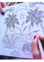 Libro para Colorear Explora | Tere Gott LIBROEXPLORA