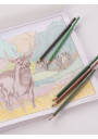Lápices de Colores Bruynzeel Colouring & Drawing 70 Piezas 60319070