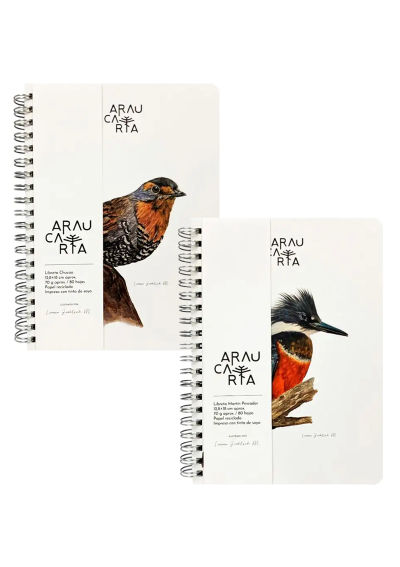 Cuadernos Araucaria 12.8 x 18 cm 70gr 80 Hojas