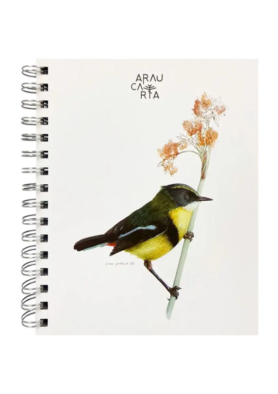 Cuadernos Araucaria 17.5 x 21 cm 70gr 120 Hojas