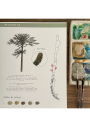 Libro para Colorear Flora & Fauna Chilena | Vicky Aguirre LIBROF&FAUNA