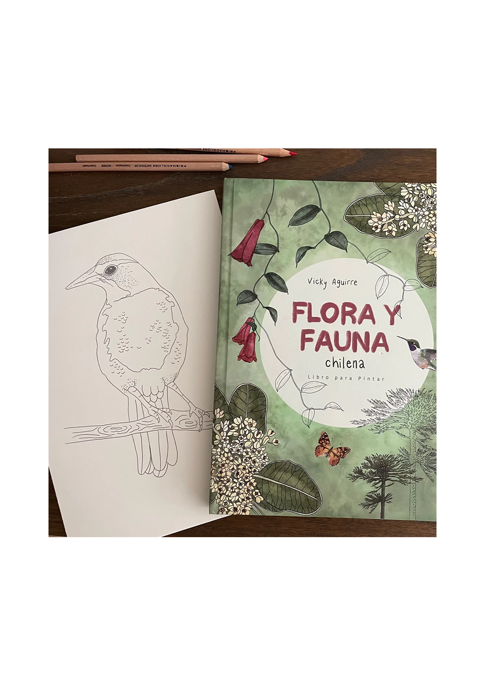 libro-para-colorear-flora-y-fauna-chilena-vicky-aguirre