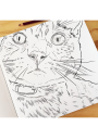 Libro para Colorear Gatos / Cata Fuenzalida LIBROGATOS