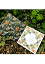 Libro para Colorear Pequeños Círculos Naturales / Angela Errázuriz LIBROCIRCULO