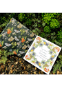 Libro para Colorear Pequeños Círculos Naturales | Angela Errázuriz LIBROCIRCULO