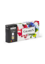 Tinta de Acuarela Pebeo Colorex Set 6 x 20ml Colores Esenciales 417402