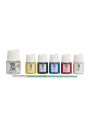 Pintura para Cuero Pebeo Setacolor Set 5 Colores x 20ml 295681