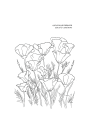 Libro Desierto en Flor | Verónica Bazán LIBRODESIERTO