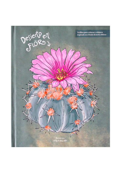 Libro Desierto en Flor / Verónica Bazán LIBRODESIERTO