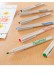 Marcadores Caligrafía Speedball Elegant Writer Punta M(2.5) Set 6 2882