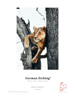 Resma Papel FineArt Digital Hahnemühle German Etching 310gr