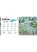 Libro Origami de La Naturaleza / Clover Robin 978-956-257-537-9