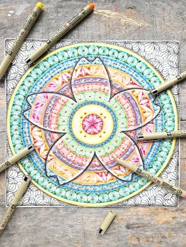 Tiralíneas Sakura Pigma Micron 0.5mm