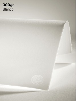 Papel Grabado Hahnemuhle 300gr 56x76 cm Blanco 10105718