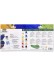 Acrílico Pebeo Studio Set 10 Colores 20ml + Pincel 833316