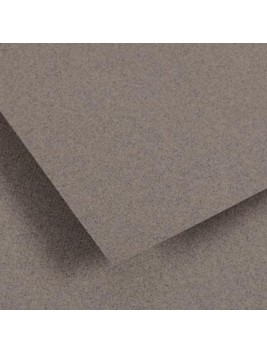 Papel Canson Ingres Vidalon 50x65 cm 100gr Gris Chine 261442