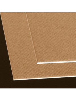 Cartón Contracolado Canson Pastel 1.5mm 80x120cm