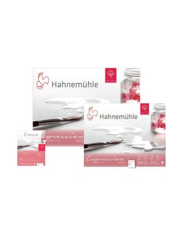 Block Acuarela Hahnemuhle Expression Grano Fino 300gr 20 Hojas