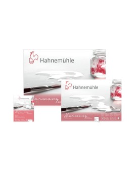Block Acuarela Hahnemuhle Harmony 300gr Grano Fino 12 Hojas