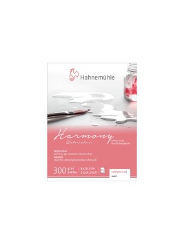 Block Acuarela Hahnemuhle Harmony 300gr Grano Fino 12 Hojas