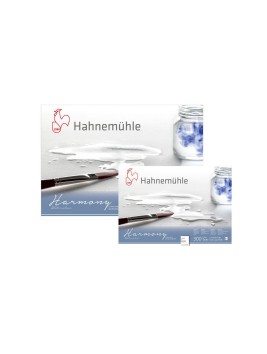 Block Acuarela Hahnemuhle Harmony 300gr Grano Grueso 12 Hojas