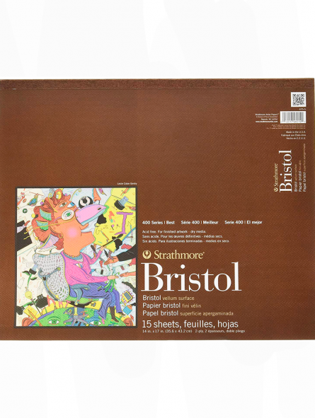 Block Dibujo Strathmore Bristol Serie 400 Vellum 270gr | Materials de Arte  Color Animal