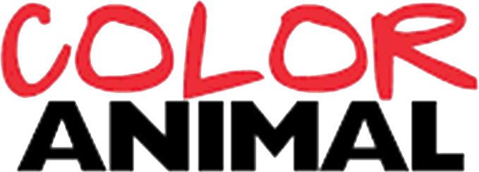 color-logo.png