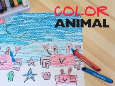 Concurso Verano con Color Animal.