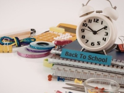 ¿Ya conoces nuestra sección Escolar?