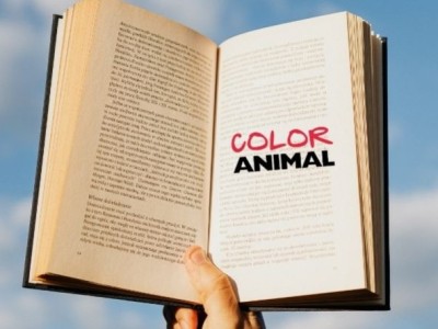 ¿Por qué se celebra el Día del Libro? Origen, historia y su importancia hoy