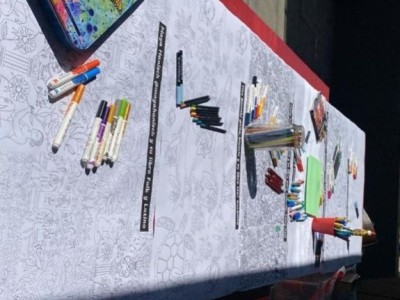 Día del Libro y creatividad en Color Animal.