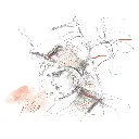 112975_Pitt Monochrome set small drawing Alexander Vethers_PI_Office.webp