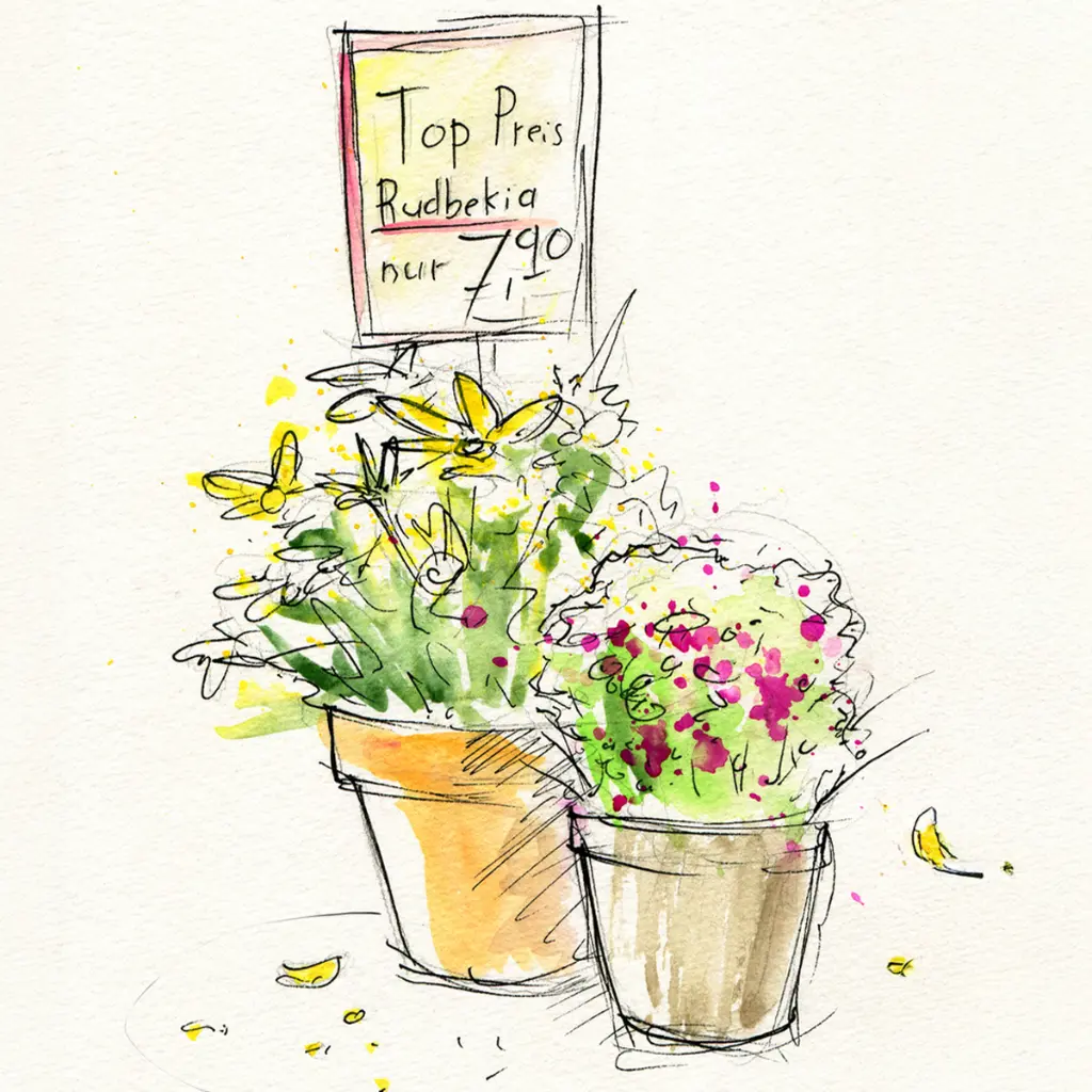 169724_Watercolours in pans 24ct set_PM3.webp