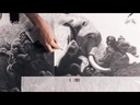 youtube - [Video]