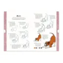 libro-dibujar-en-10-pasos-perros-justine-lecouffe-3.webp