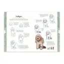 libro-dibujar-en-10-pasos-perros-justine-lecouffe-4.webp