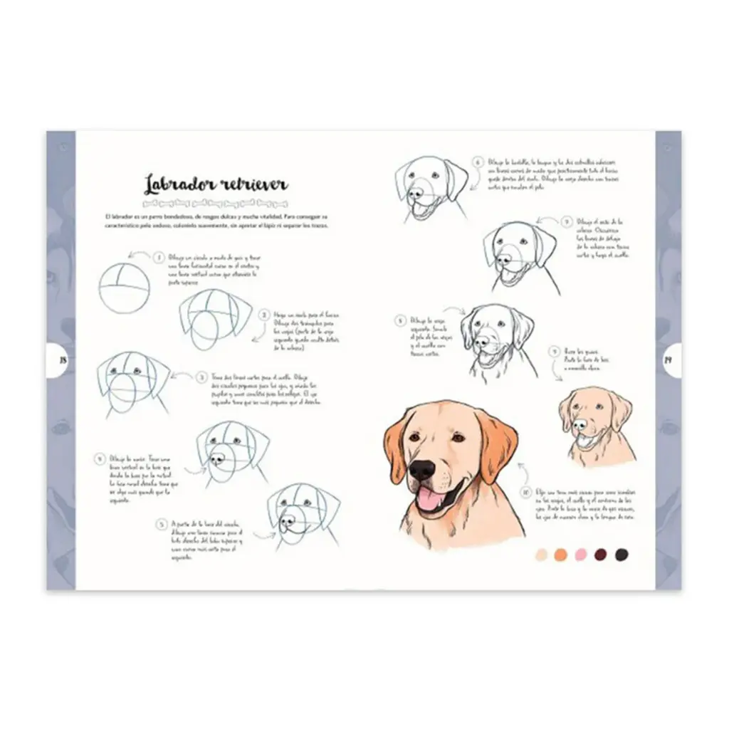 libro-dibujar-en-10-pasos-perros-justine-lecouffe-2.webp