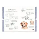 libro-dibujar-en-10-pasos-perros-justine-lecouffe-2.webp