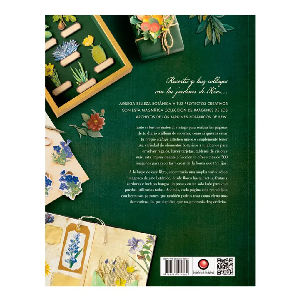 libro-ilustracion-botanica-para-recortar-y-hacer-collage-5.webp