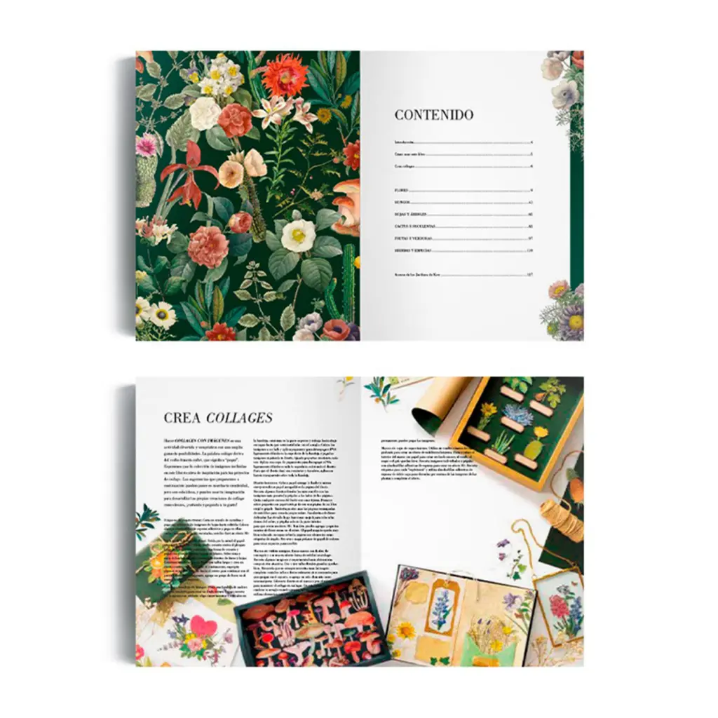 libro-ilustracion-botanica-para-recortar-y-hacer-collage-2.webp