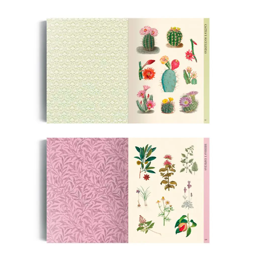 libro-ilustracion-botanica-para-recortar-y-hacer-collage-4.webp